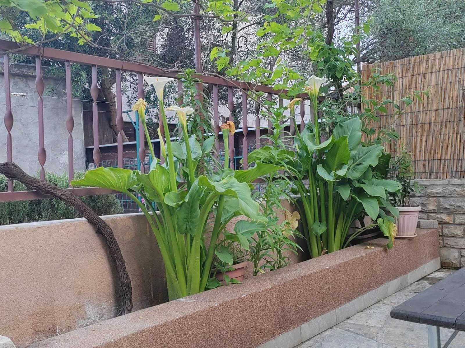 Apartman Oli Zadar Luaran gambar